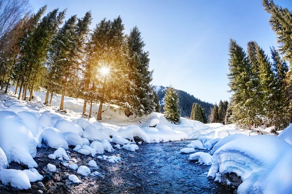 Fiume di montagna invernale — Foto Stock