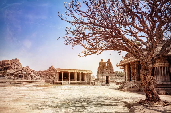 Baum und Tempel in Hampi — Stockfoto