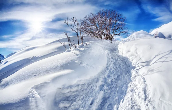 Winter mountain scenery — Stockfoto