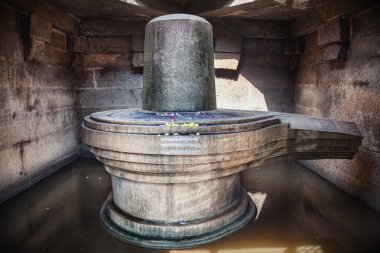 Shiva lingam hampi içinde