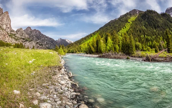 Bergrivier — Stockfoto