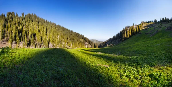 Mountain valley panorama — Stock Photo, Image