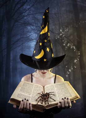 kitap ve örümcek cadı