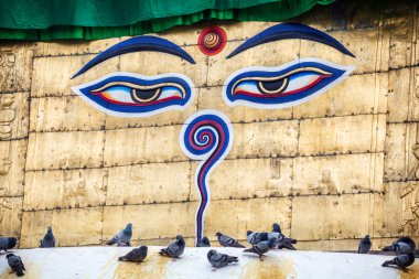Buda gözünü swayambhunath stupa