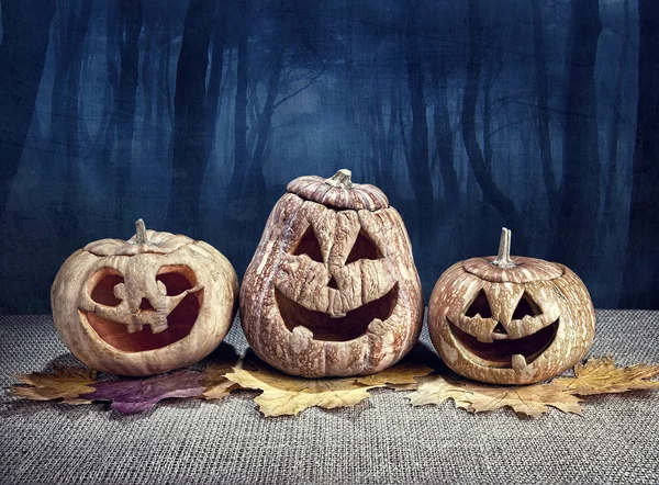 Zucche di Halloween nella foresta — Foto Stock