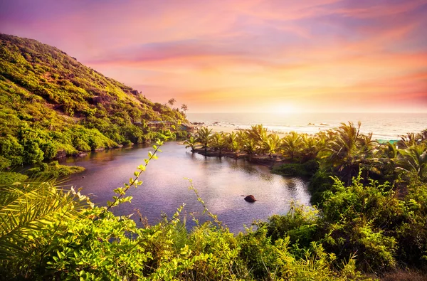 Praia tropical em goa — Fotografia de Stock