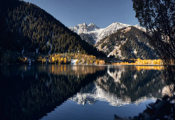 Paisaje Montañoso Bosque Otoñal Con Árboles Amarillos Pico Blanco Nevado —  Fotos de Stock