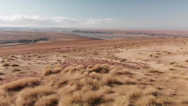 Aerial shot of sand dunes in Kazakhstan — Stock Video