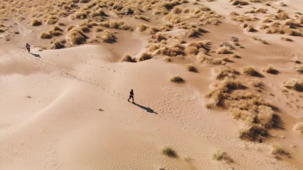 Flygfoto av människor som springer på sanddyner i Kazakstan — Stockvideo