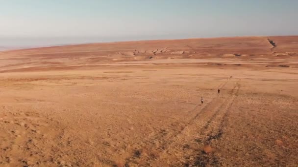 Аэросъемка людей, бегущих по пустыне в Казахстане — стоковое видео