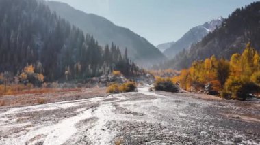 Nehirdeki sonbahar ormanlarının dağ manzarası.