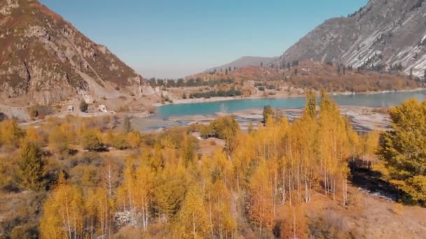 Nehirdeki sonbahar ormanlarının dağ manzarası. — Stok video