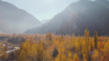 Nehirdeki sonbahar ormanlarının dağ manzarası.