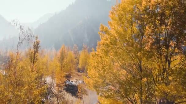 Luchtfoto van het berglandschap van het herfstbos aan de rivier — Stockvideo