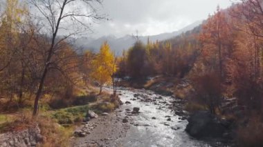 Sonbahar ormanlarının dağlık nehir manzarası