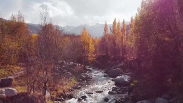 Veduta aerea del paesaggio fluviale montano della foresta autunnale — Video Stock