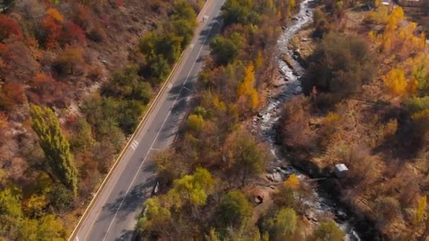 Luchtfoto van bergrivierlandschap van herfstbos — Stockvideo