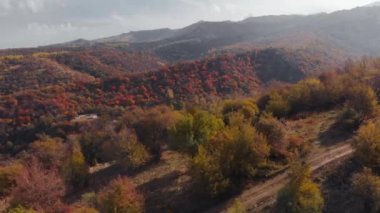 Dağ manzarasında sonbahar ormanıyla bisikletçinin hava görüntüsü