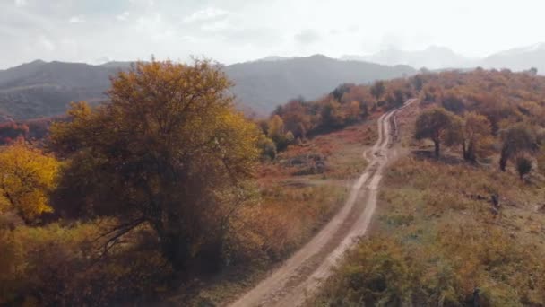 Vista aérea do ciclista na paisagem montanhosa com floresta de outono — Vídeo de Stock