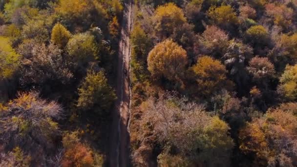 Vista aérea do ciclista na paisagem montanhosa com floresta de outono — Vídeo de Stock