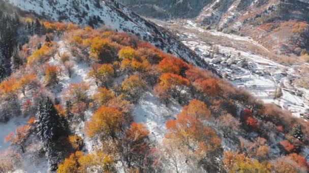 Вид с воздуха на горный ландшафт осеннего леса на реке — стоковое видео