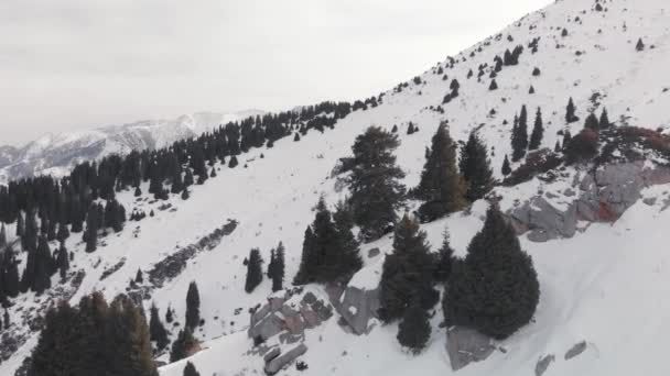 Luchtlandschap van prachtige winterbergen — Stockvideo