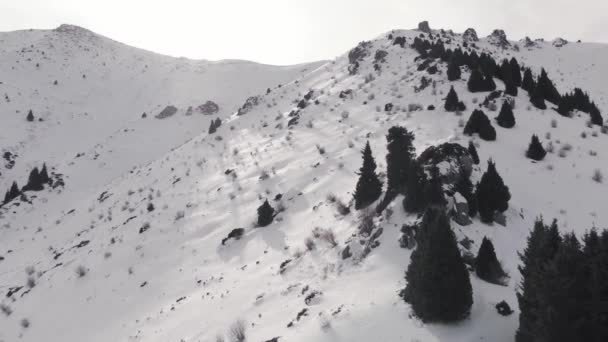 Luchtlandschap van prachtige winterbergen — Stockvideo