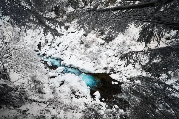 Piękny Krajobraz Błękitnej Rzeki Wody Lasu Świerkowego Górach Śniegiem Okresie — Zdjęcie stockowe