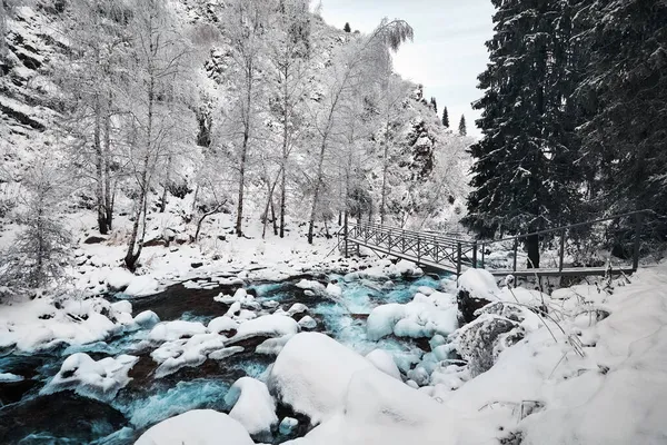 美丽的蓝水河风景和山中的云杉林 冬季有雪 — 图库照片