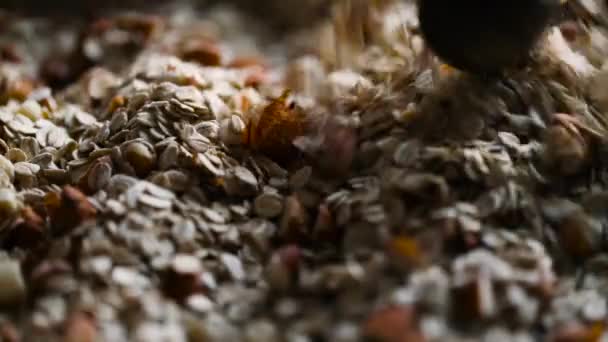 Hausgemachtes Müsli zum Backen — Stockvideo