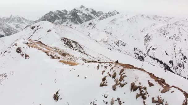 Paisaje aéreo de hermosas montañas de invierno — Vídeos de Stock