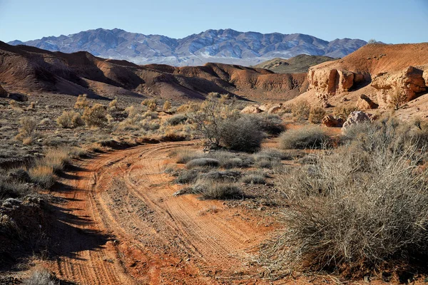 Paysage Route Dans Désert Entouré Montagnes Enneigées Dans Sud Kazakhstan — Photo