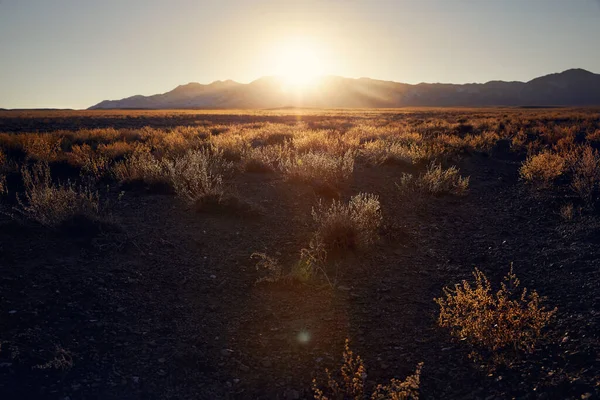 Όμορφο Τοπίο Του Ηλιοβασιλέματος Στα Βουνά Της Ερήμου Στο Νότιο — Φωτογραφία Αρχείου