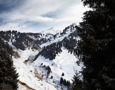 Karlı dağ Furmanovka 'nın güzel kış manzarası Almaty' deki Zaili Alatay sıradağları ve Kazakistan 'daki bulutlu gökyüzüne karşı ladin ağacı ormanı.