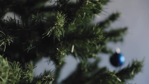 Donna decorazione albero di Natale con palla blu — Video Stock