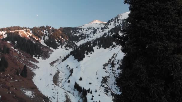 Paisaje aéreo de hermosas montañas de invierno — Vídeos de Stock