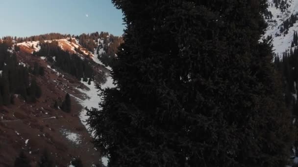 Paisaje aéreo de hermosas montañas de invierno — Vídeos de Stock