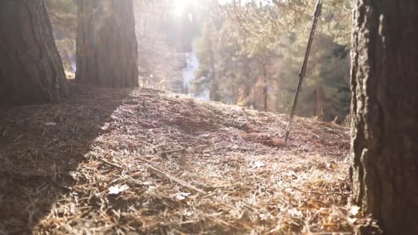 Kaki dengan sepatu dekat berjalan di hutan pegunungan gerak lambat — Stok Video