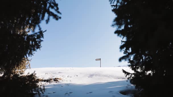 Man Vandrare promenader i berg skog slow motion — Stockvideo