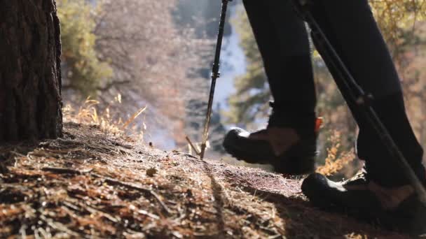 Bein mit Schuhen aus nächster Nähe beim Wandern im Bergwald in Zeitlupe — Stockvideo