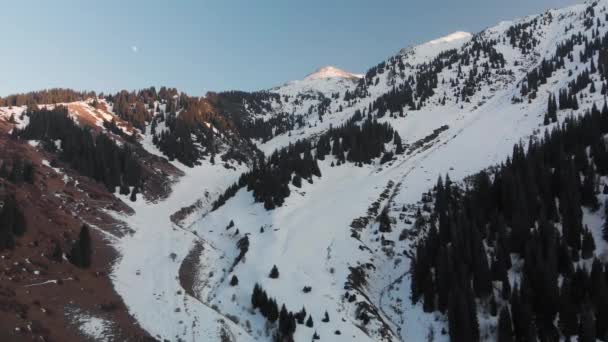 Paisaje aéreo de hermosas montañas de invierno — Vídeos de Stock