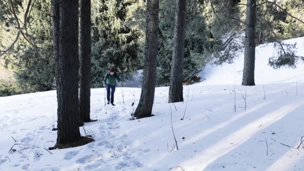 Homem Caminhante caminhando na floresta de montanha câmera lenta — Vídeo de Stock