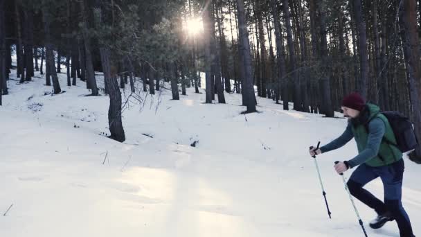 男子远足者在山林中慢行 — 图库视频影像