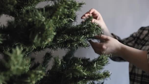Configuración de la mujer y la decoración del árbol de Navidad — Vídeo de stock