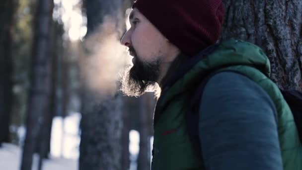 Retrato del hombre Caminante caminando en el bosque de montaña cámara lenta — Vídeo de stock