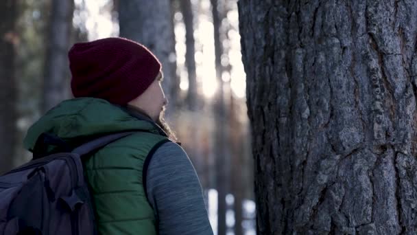 Porträt eines Wanderers, der im Bergwald in Zeitlupe wandert — Stockvideo