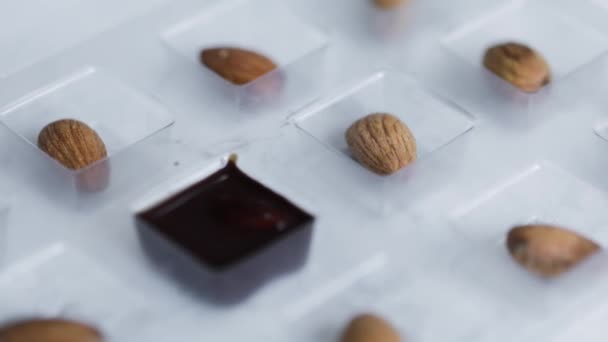 Mujer hacer dulces de chocolate caseros con nueces — Vídeos de Stock
