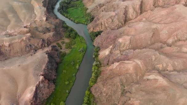 Drone shot of river in canyon in desert Charyn in Kazakhstan — Video