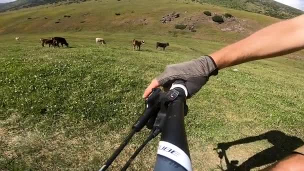 Bicicleta ciclista en carretera de montaña — Vídeo de stock