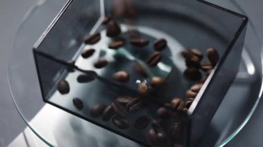 Fresh roasted coffee beans falling in box